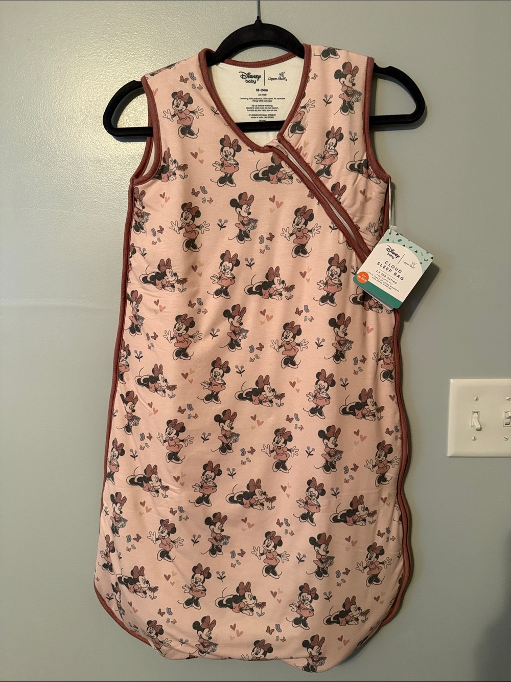 Disney Baby Copper Pearl Cloud Sleep Bag
